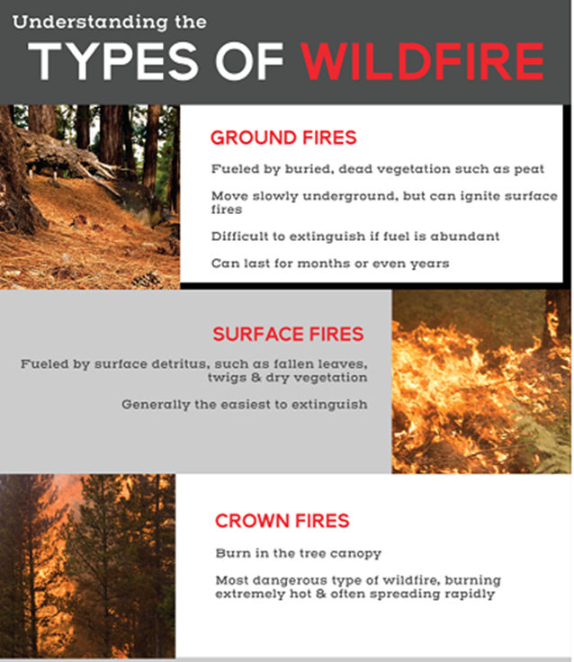 forest-fire-incidents-in-goa